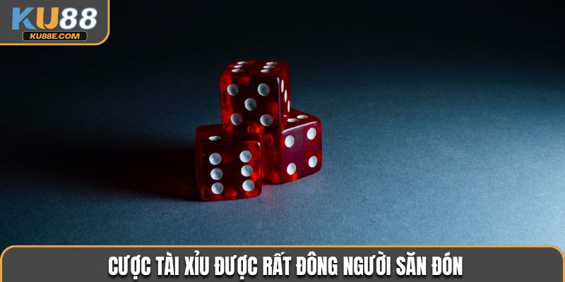 Cược tài xỉu được rất đông người săn đón