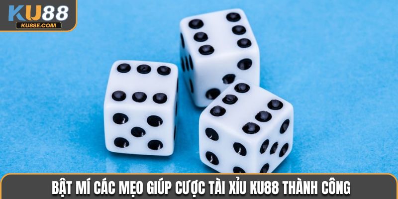 Bật mí các mẹo giúp cược Tài Xỉu Ku88 thành công